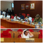 FEDERAL GOVERNMENT INTRODUCES NEW APPOINTMENT STRUCTURE FOR LOCAL GOVERNMENT ADMINISTRATION