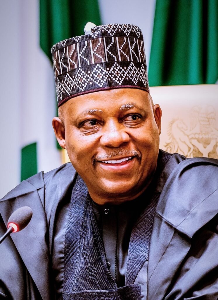 Kashim_Shettima_office_portrait (3)