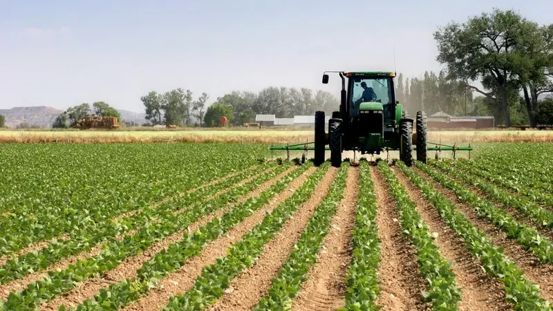 Effective-farming