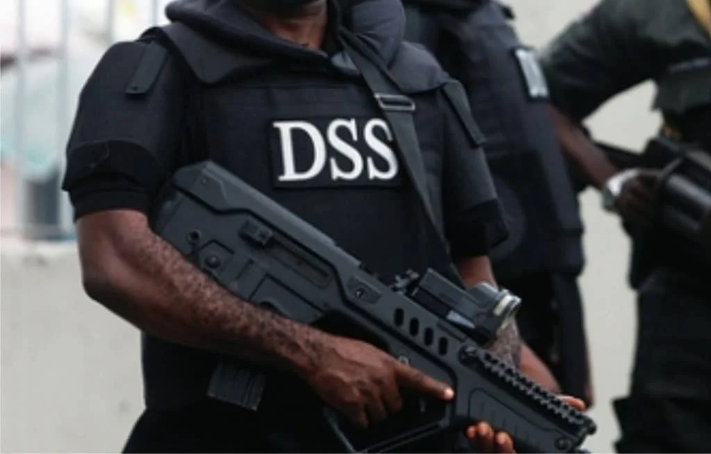 dss1-1024x654