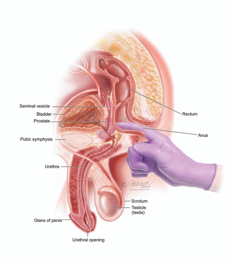 Urology Health